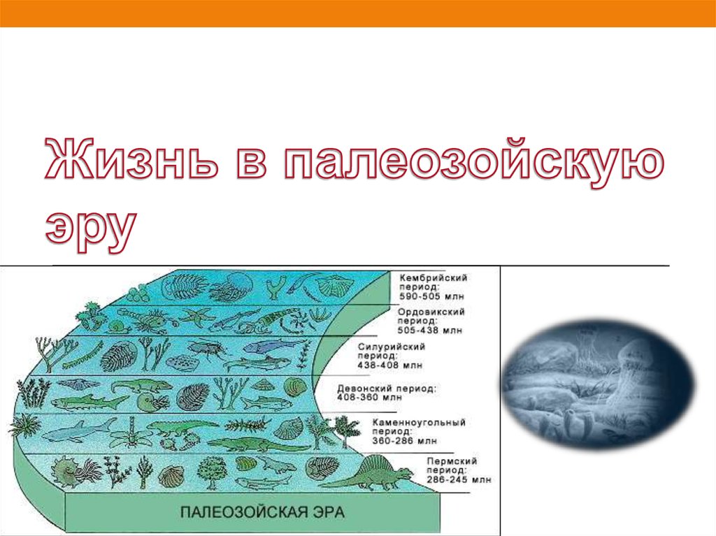 Палеозойская эра презентация