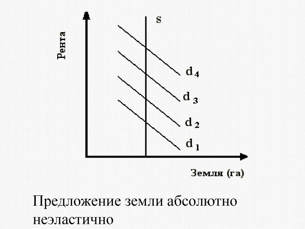 Предложение земли. Предложение земли неэластично. Абсолютная неэластичность предложения земли. Предложение земли абсолютно неэластично. Эластичность предложения земли.