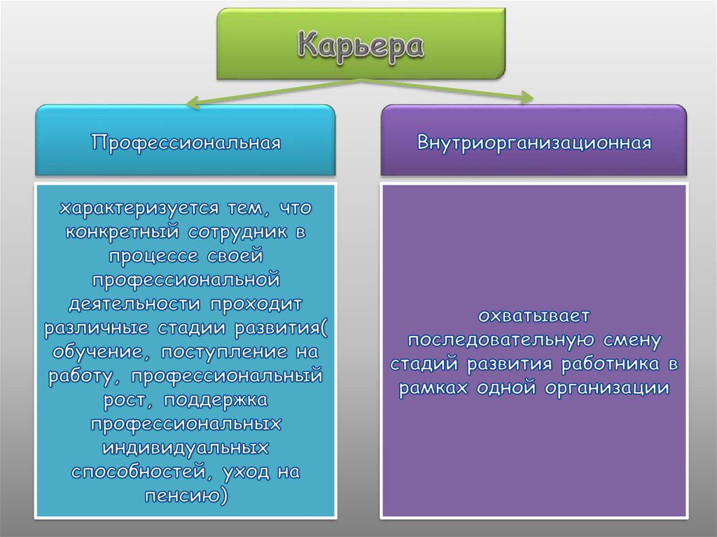 Карьера характеризуется тем