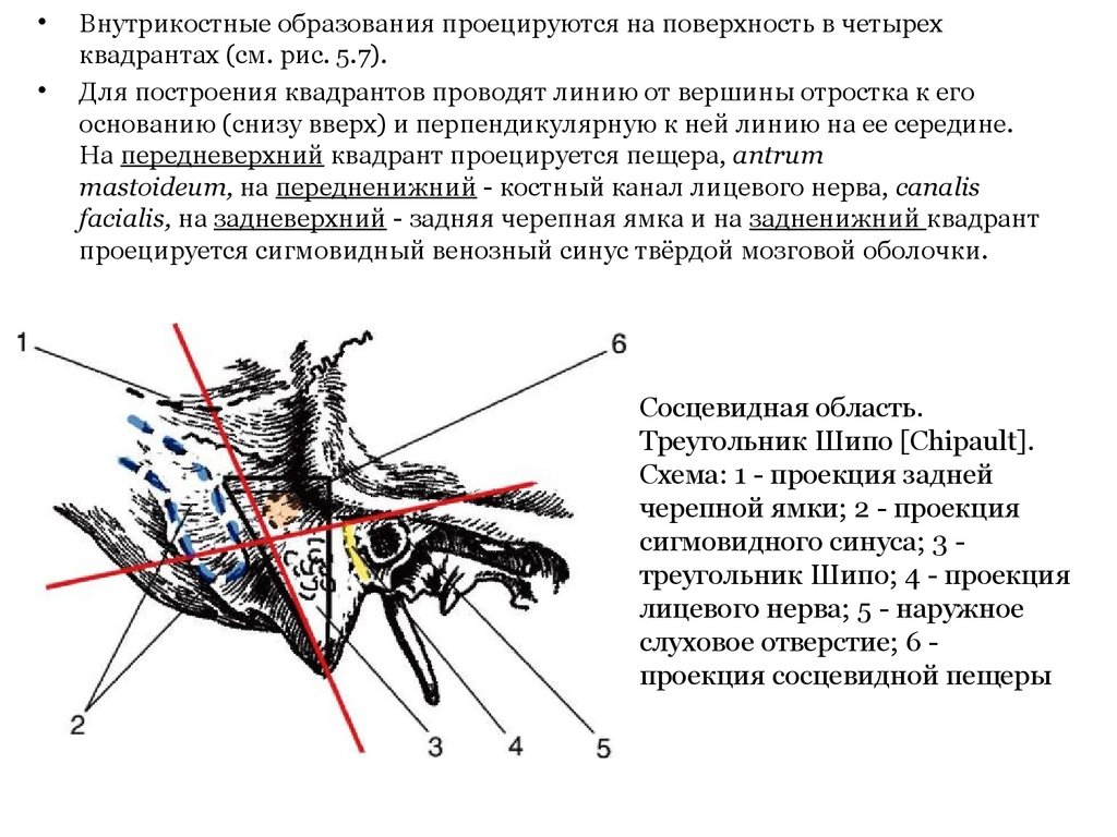 Треугольник шипо границы схема