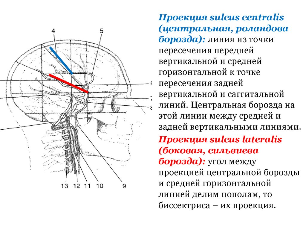 Схема кренлейна для чего