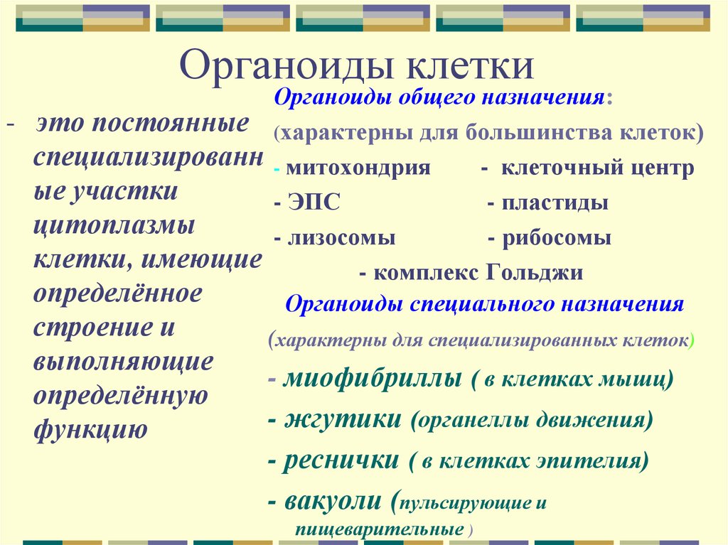 Органоиды. Органоиды клетки общего и специального назначения таблица. Органоиды клетки общего и специального назначения. Специальные органоиды клетки таблица. Органоиды общего назначения клетки.