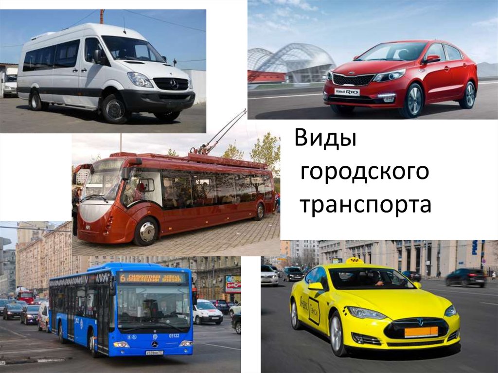 Тип городского транспорта