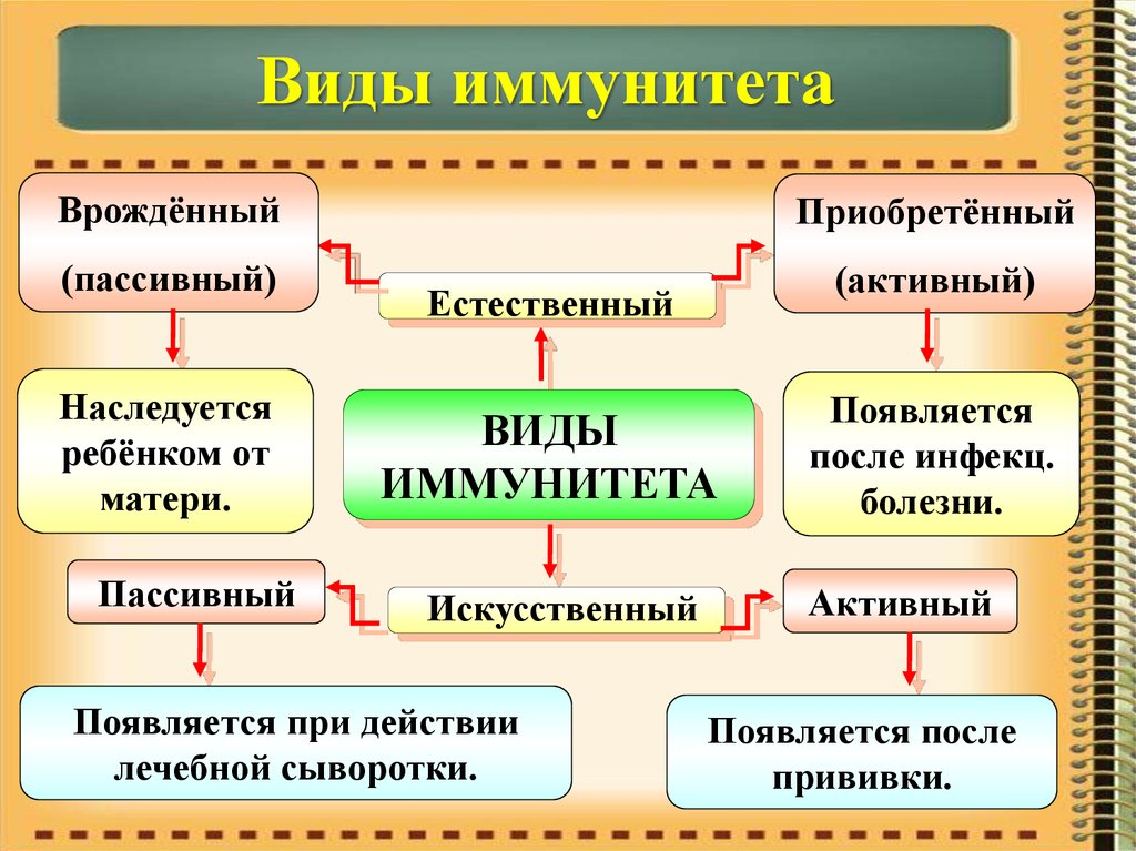 Понятие и вич инфекции и спиде презентация