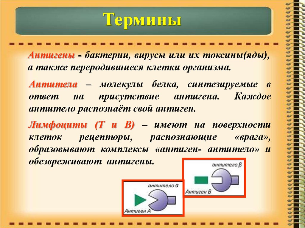 Понятие и вич инфекции и спиде презентация