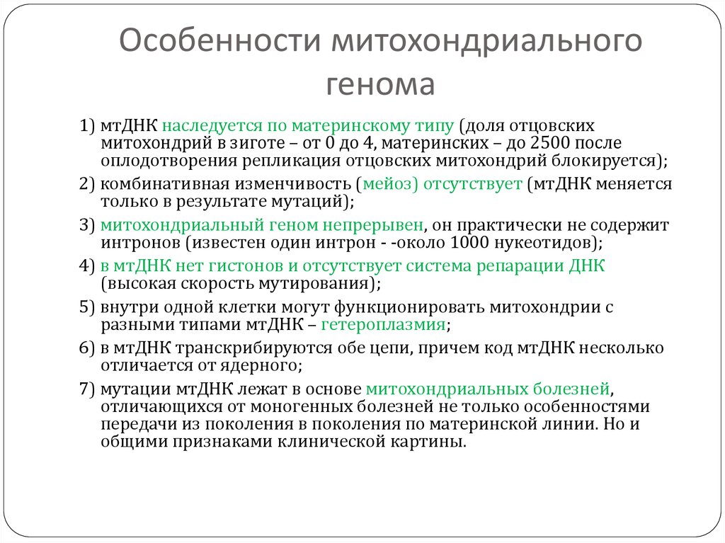 Геном человека таблица. Митохондриальный геном человека характеристика. Особенности митохондриального генома человека. Характеристика генома митохондрий. Особенности митохондриальной ДНК.