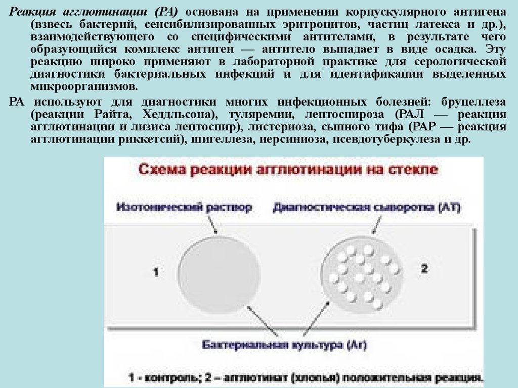 Реакция агглютинации