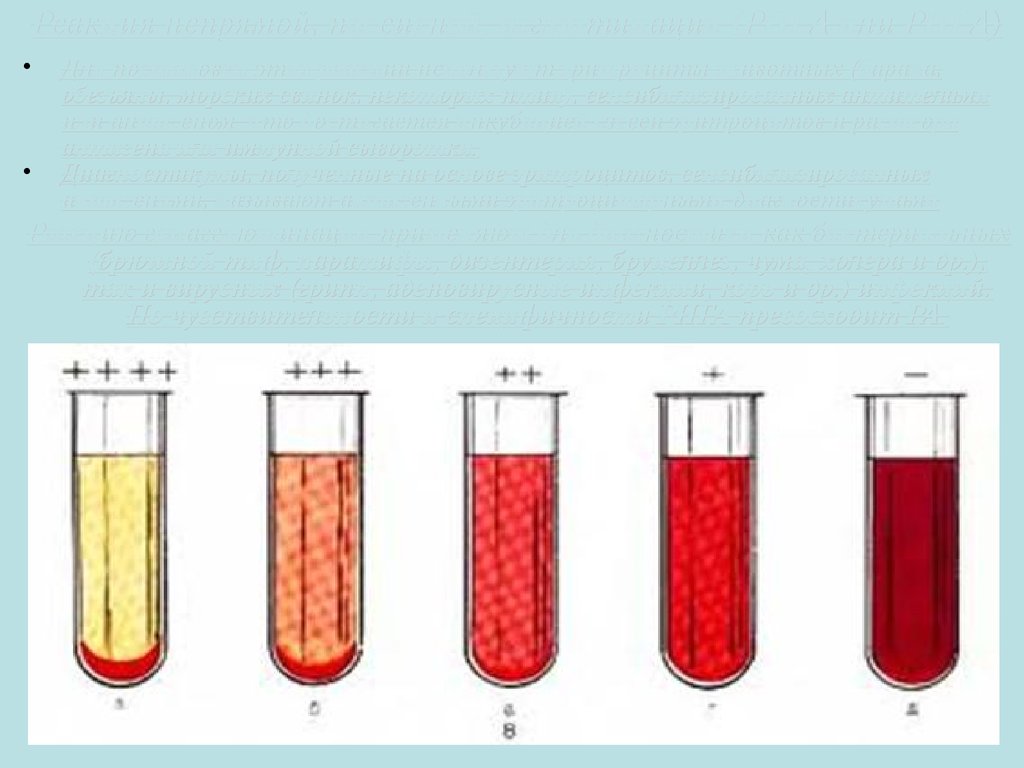 Сыворотка крови диагноз