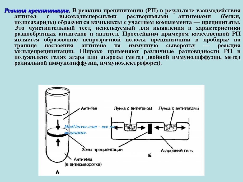 Реакция преципитации картинки