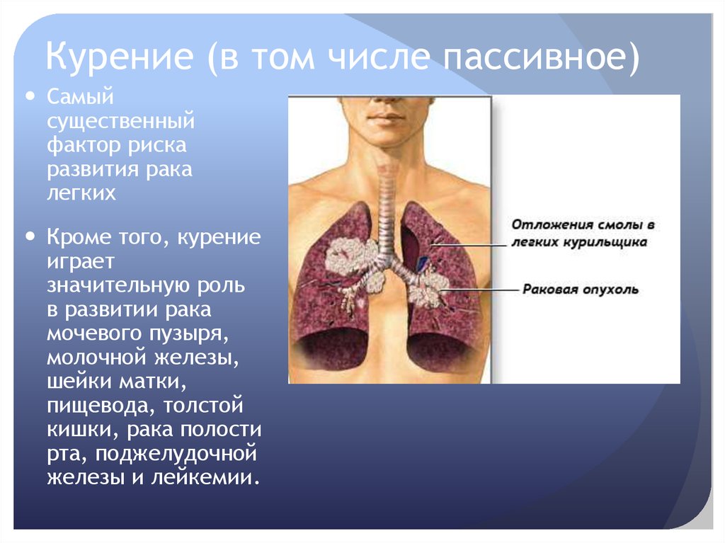 Курение (в том числе пассивное)