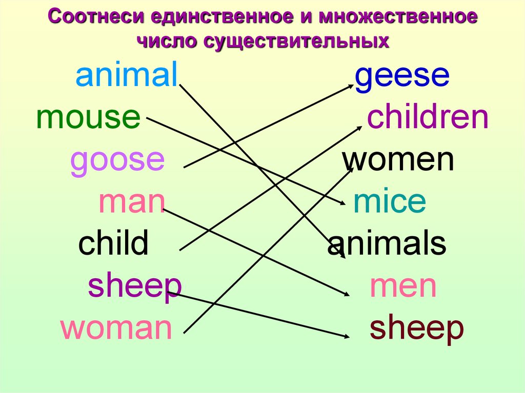 Foot множественное число на английском. Sheep во множественном числе на английском. Множественное число существительных Mouse. Sheepsмножественное число. Mouse во множественном числе на английском.