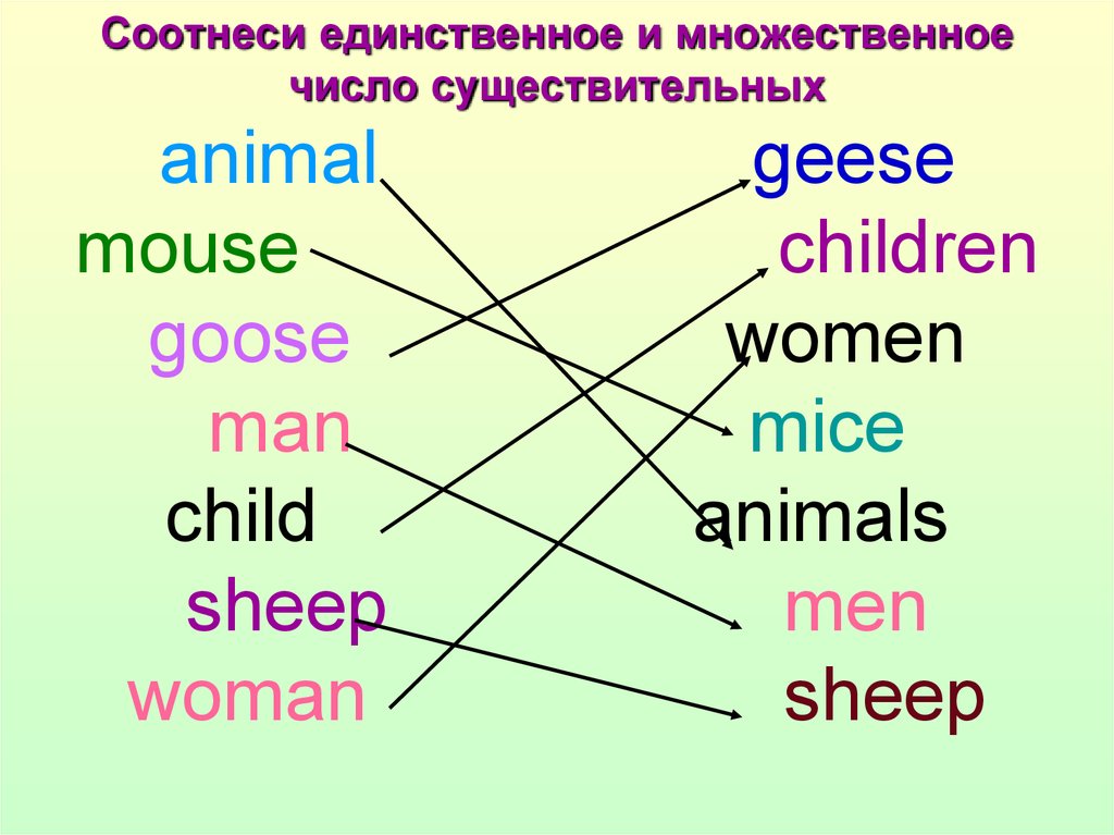 3 mouse множественное число. Sheep во множественном числе на английском. Множественное число существительных Mouse. Sheepsмножественное число. Mouse во множественном числе на английском.