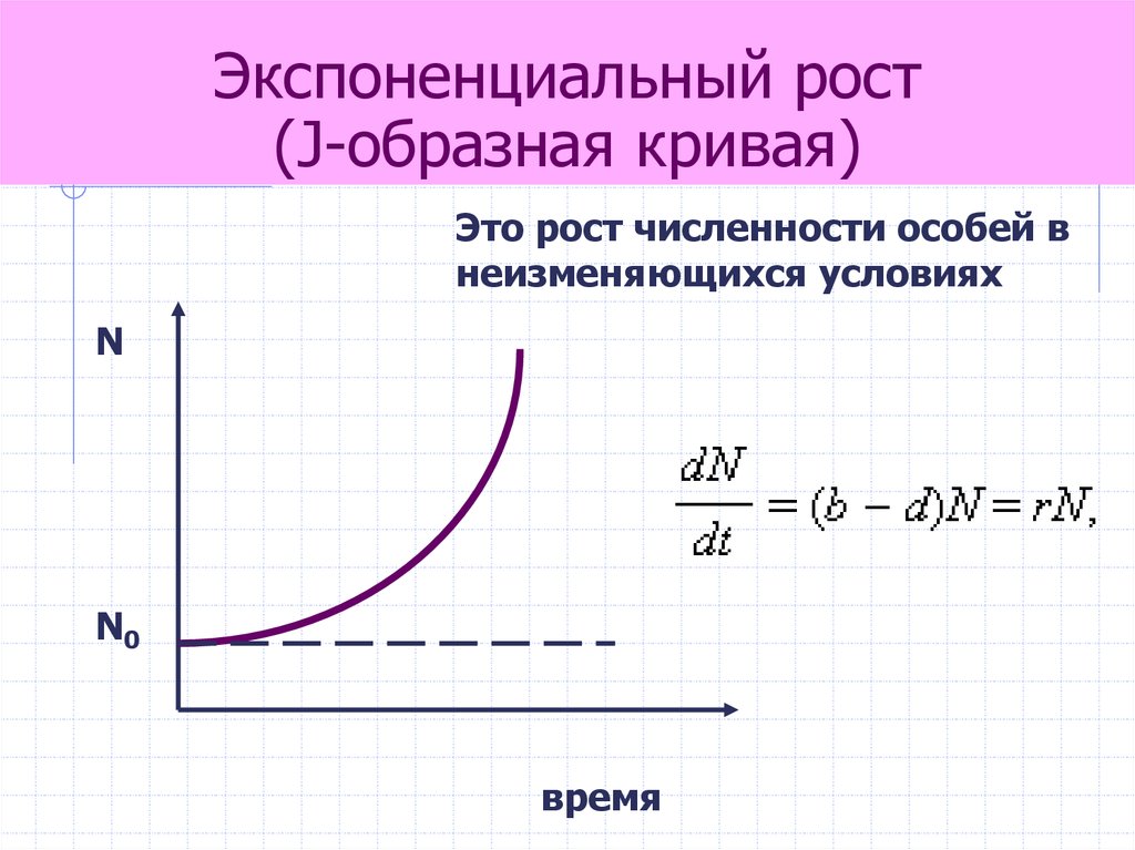 Линейный и экспоненциальный рост презентация