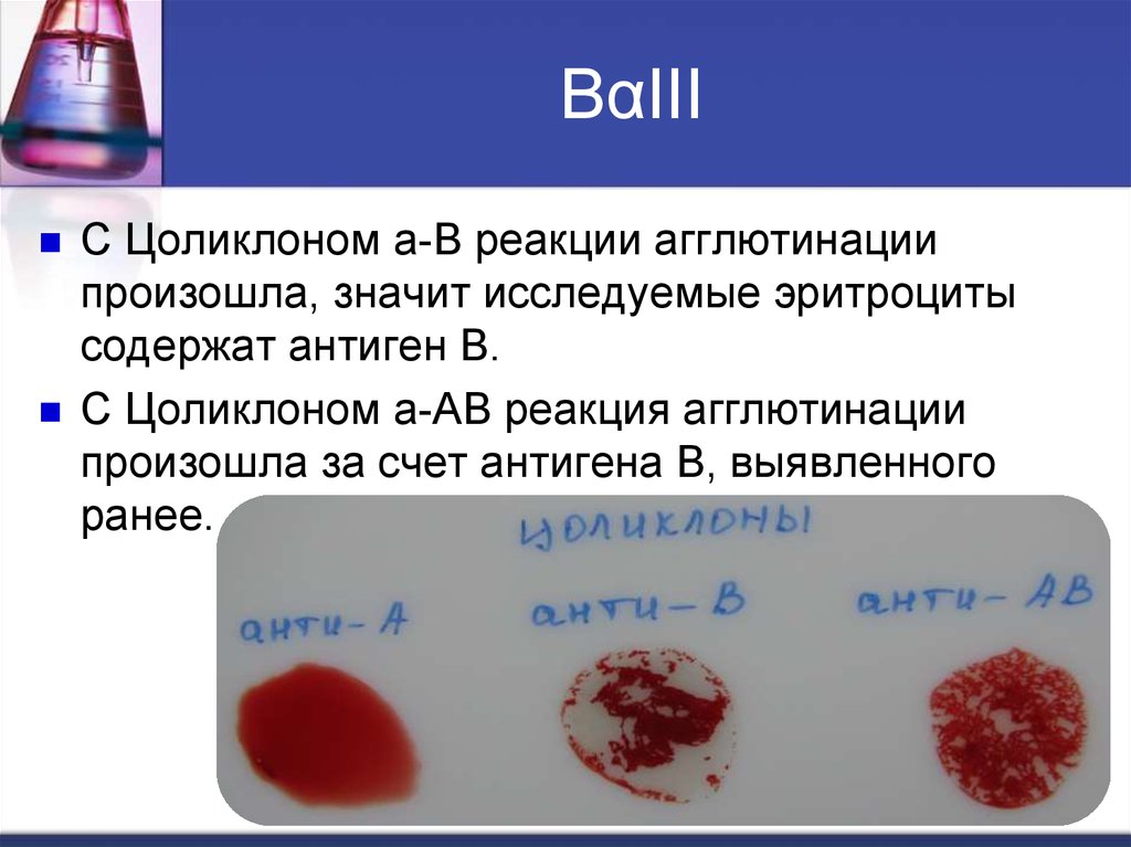 Если на эритроцитах обнаружен только антиген в исследуемый образец крови относится к группе