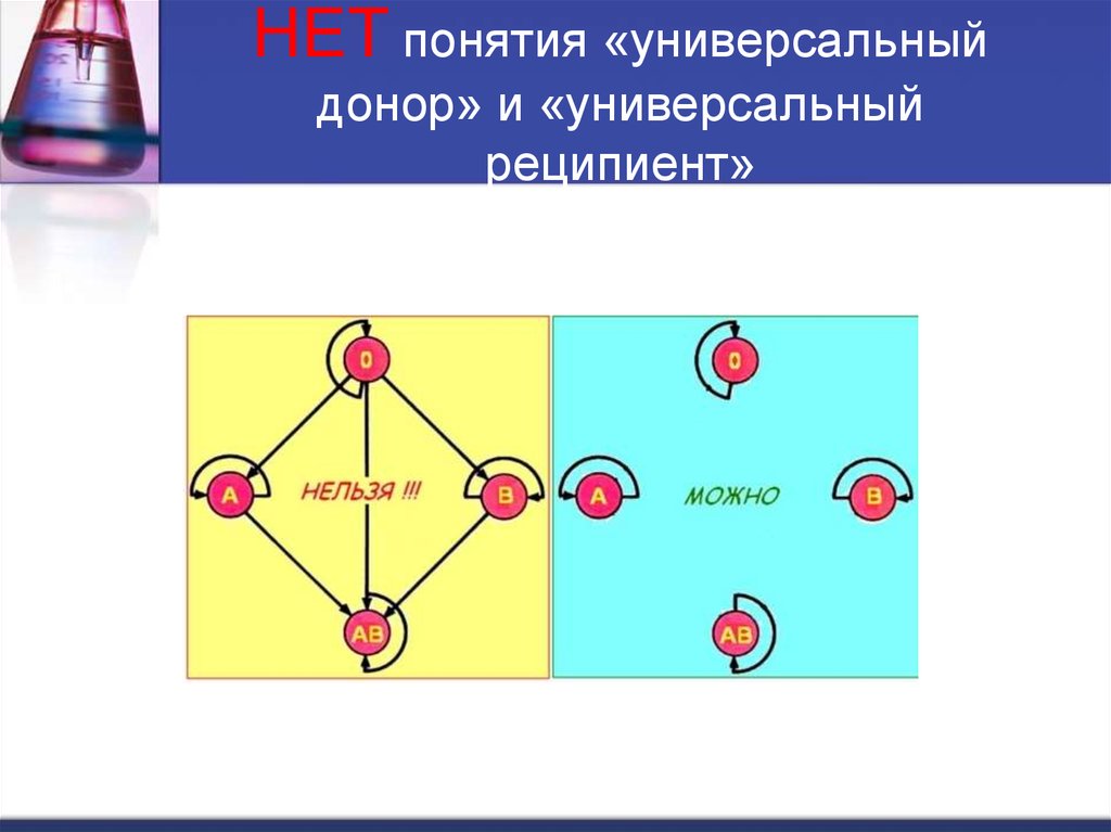 1 донор и реципиент