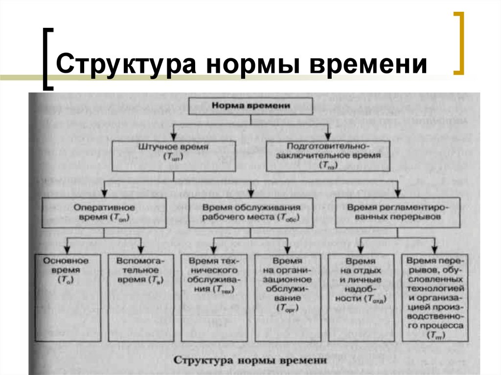 Нормы в составе организации