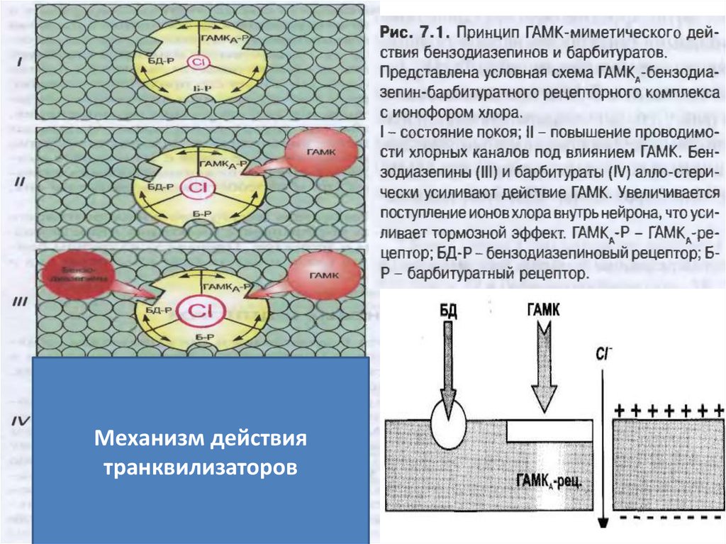 Механизм действия гамк схема