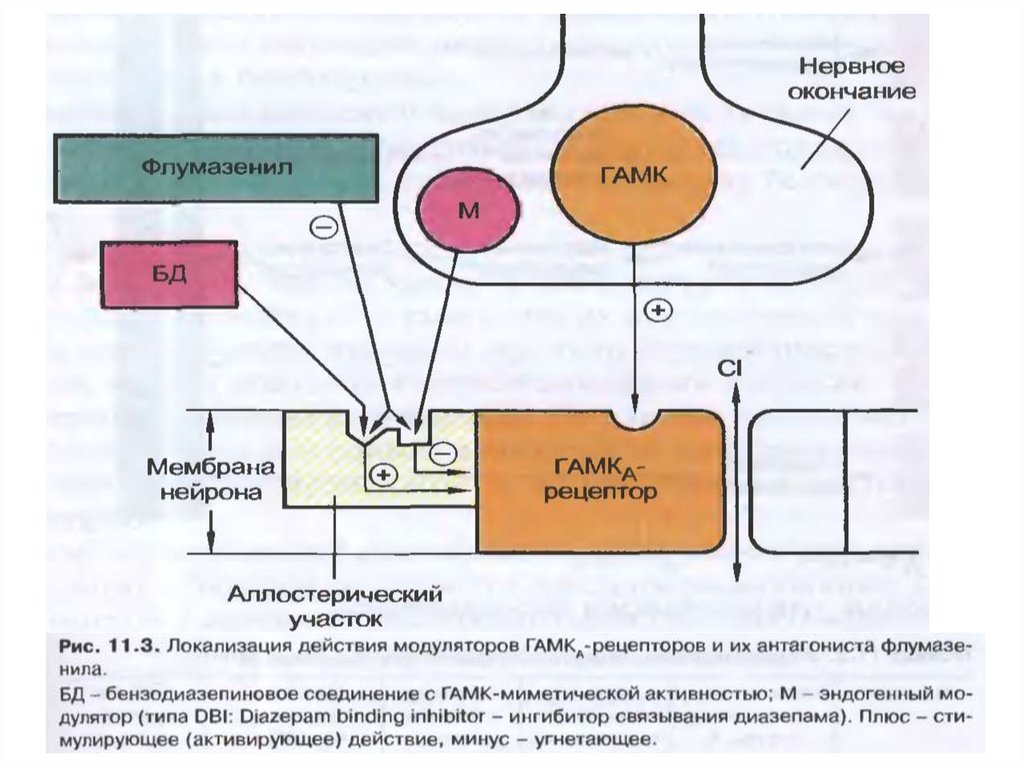 Механизм действия гамк схема