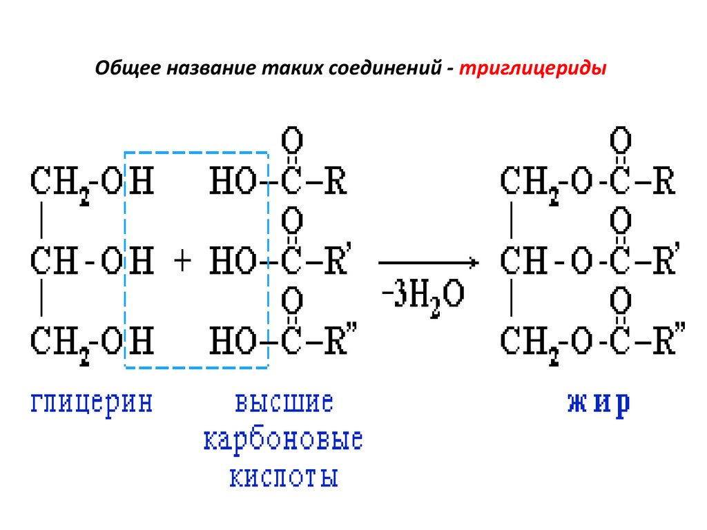 Реакция образования жира. Общая формула жиров триглицеридов. Формула жиров в химии. Жир триглицерид формула. Общая структурная формула жиров.