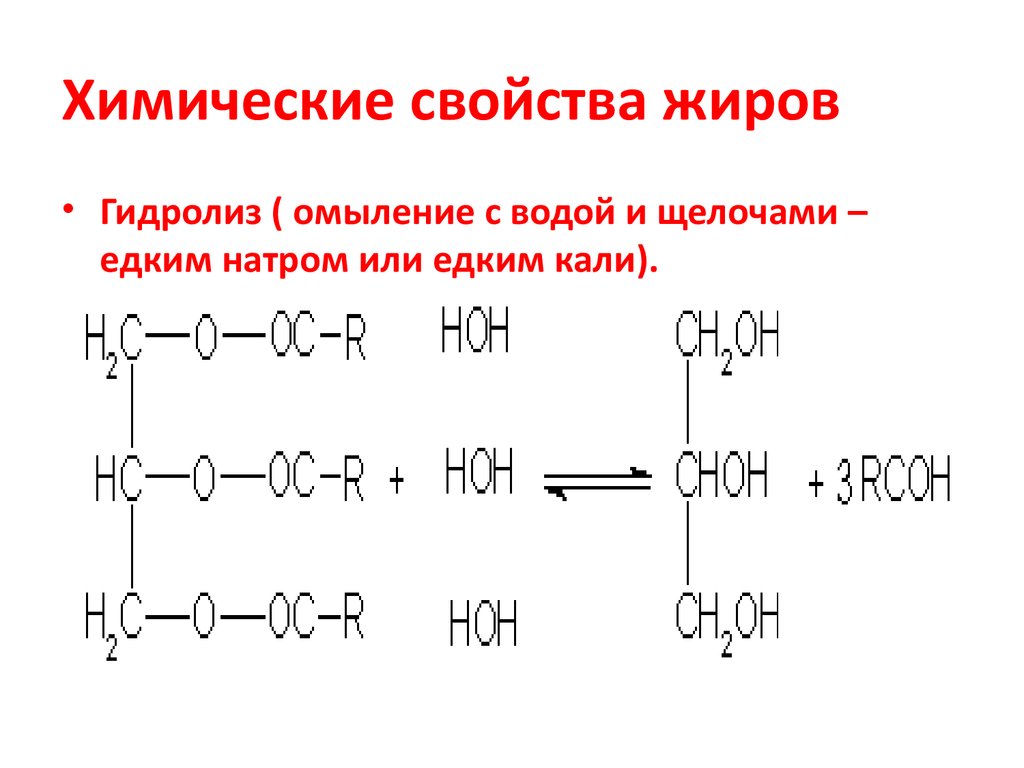 Характеристика жиров