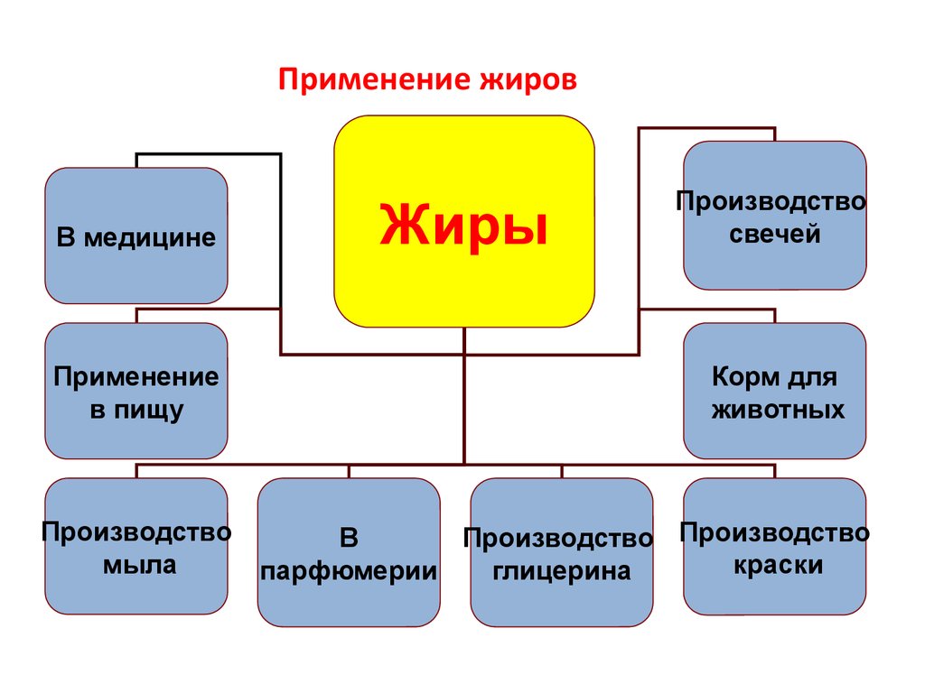 Проект жиры химия