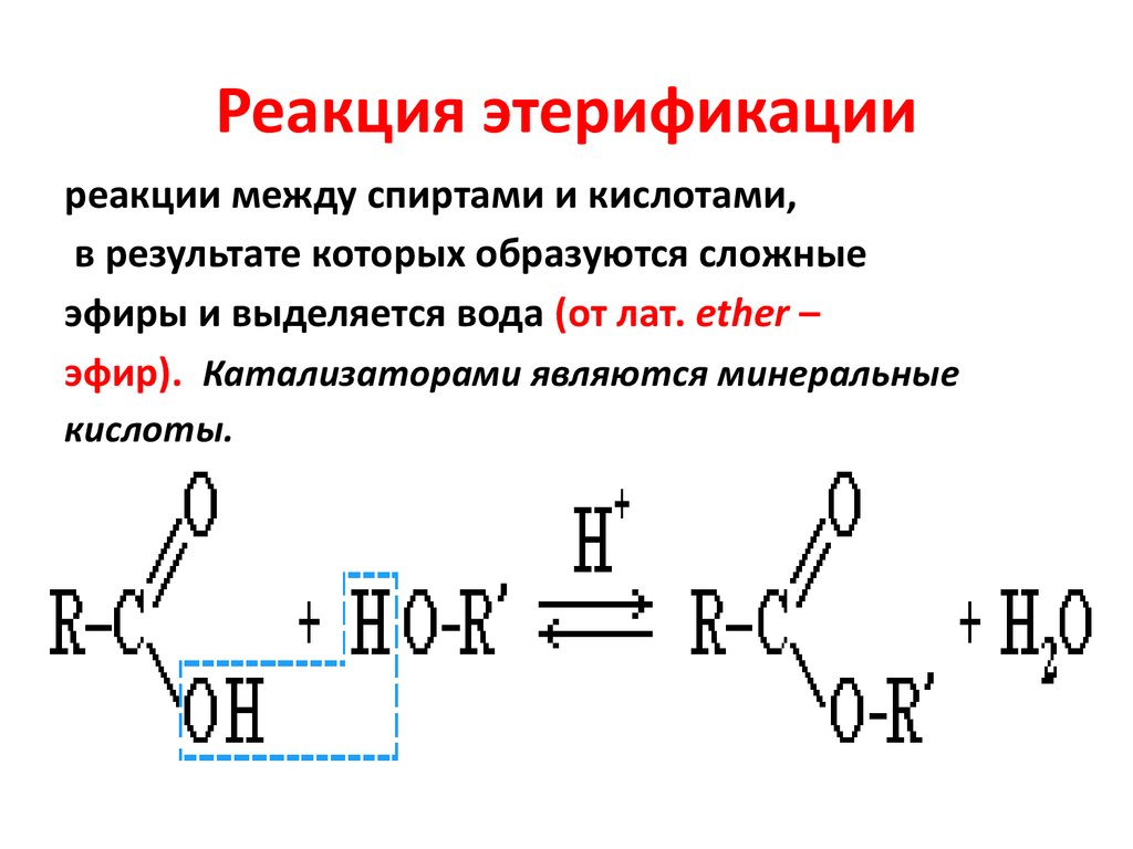 Сложные эфиры гидролиз сложных эфиров презентация