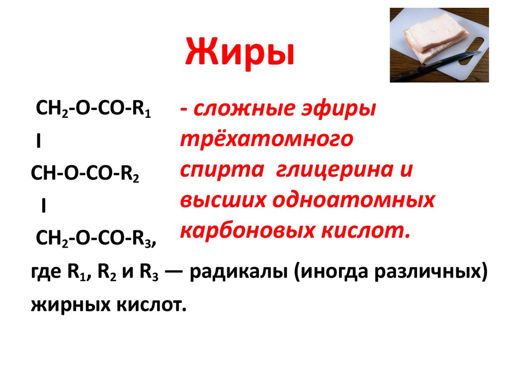 Презентация жиры 10 класс химия