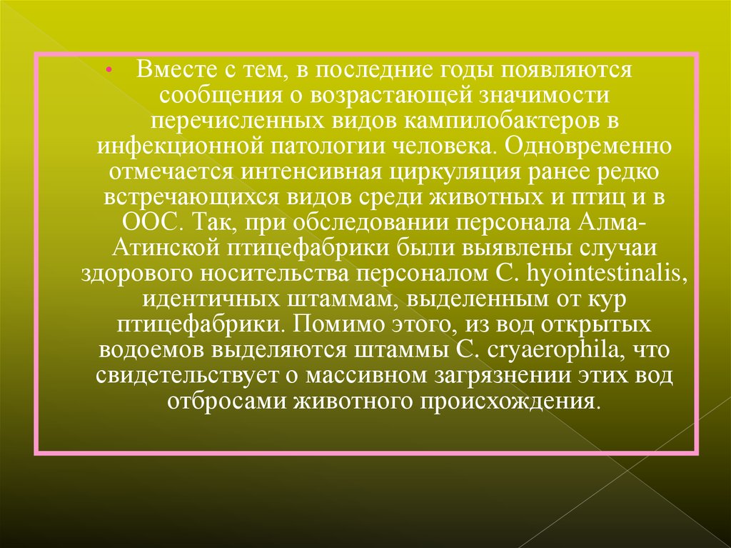 Возрасти значение. Кампилобактериоз у людей. Презентация на тему кампилобактериоз.