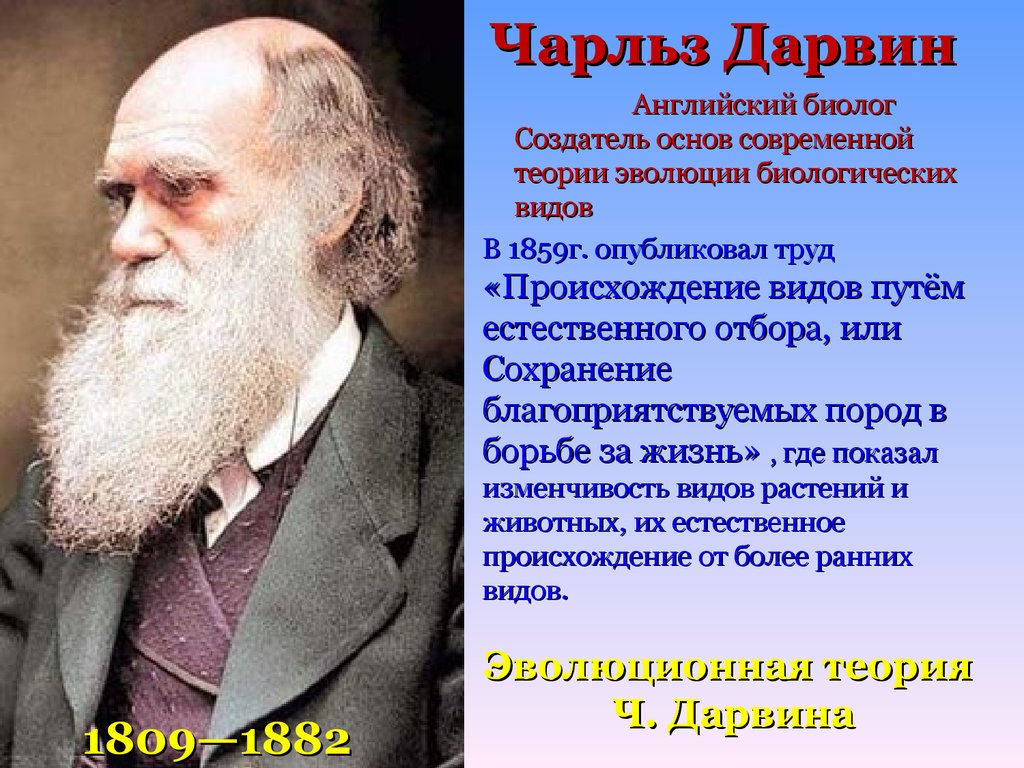Первой эволюционной теорией является. Учение Чарльза Дарвина. Дарвин основоположник учения.