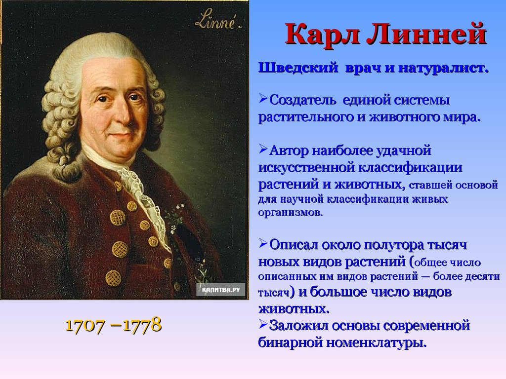 Линней ламарк дарвин презентация