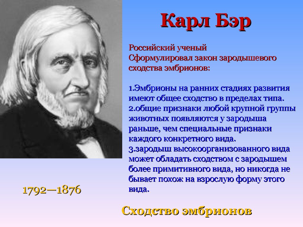 Сформулировал учение. Теория Карла Бэра. Карл Бэр теория эволюции. Основы учения об эволюции. Сформулировал закон зародышевого сходства ученый.