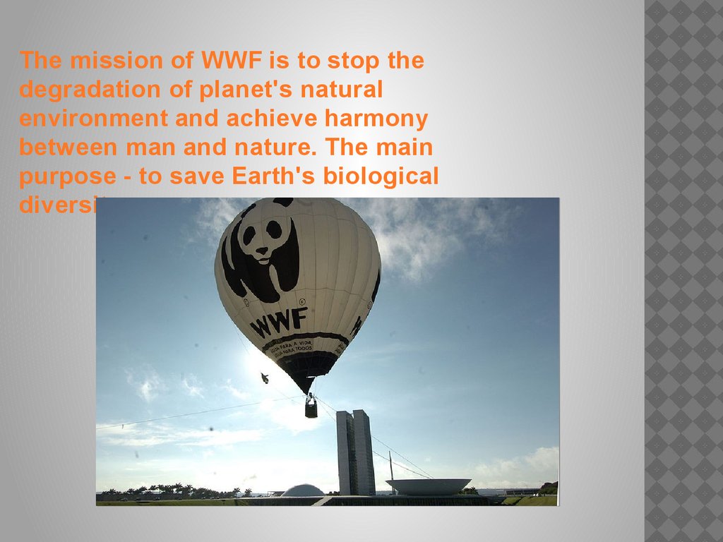 The world wildlife fund is. WWF stop.