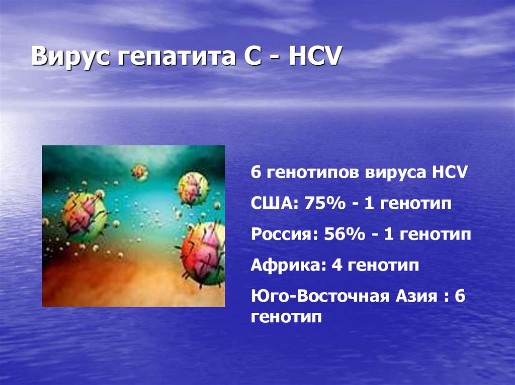 Вирус гепатита С - HCV