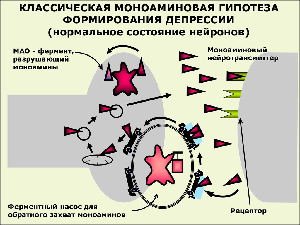 Клиническая фармакология антидепрессантов презентация