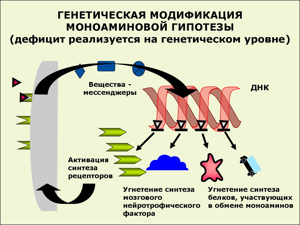 Хроника генной модификации