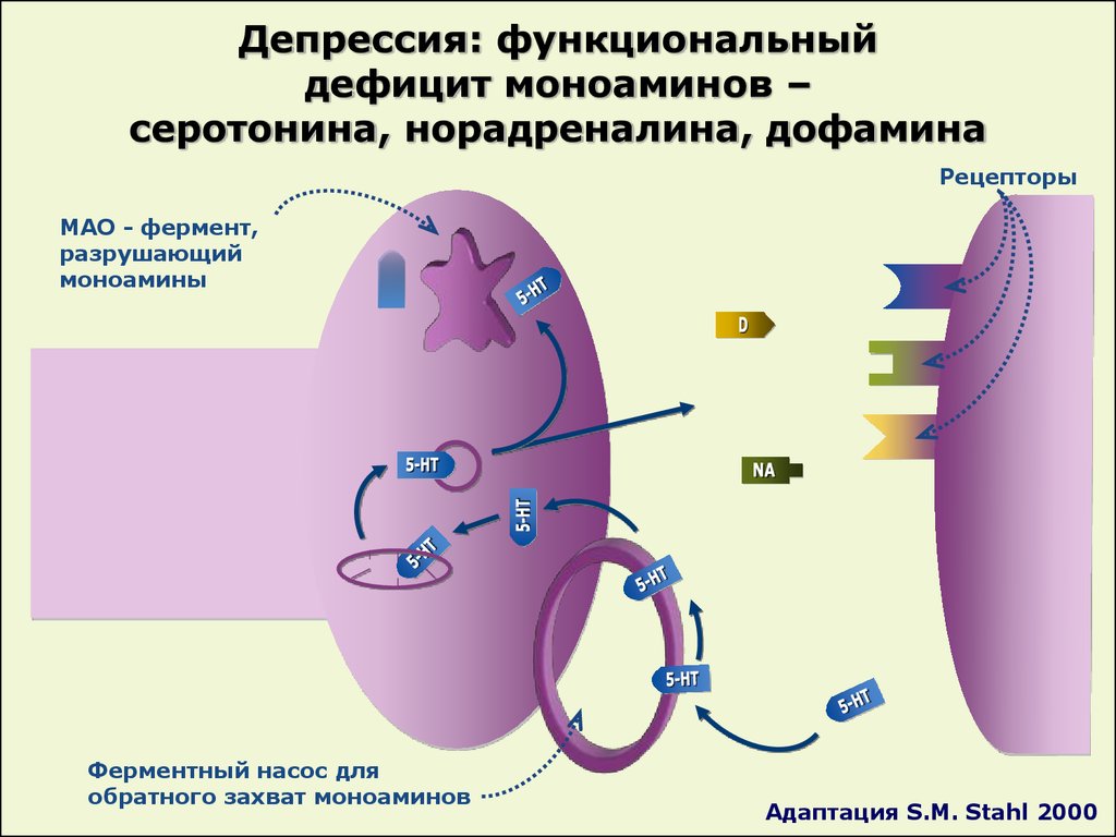 Клиническая фармакология антидепрессантов презентация