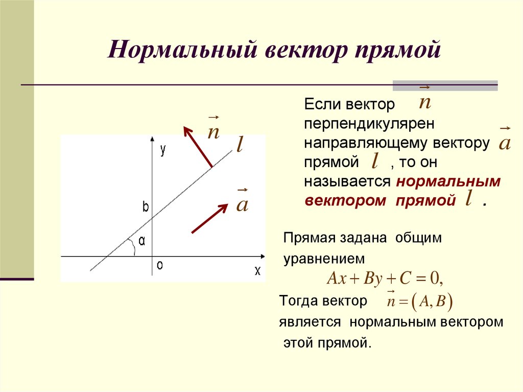 Вектор прямой