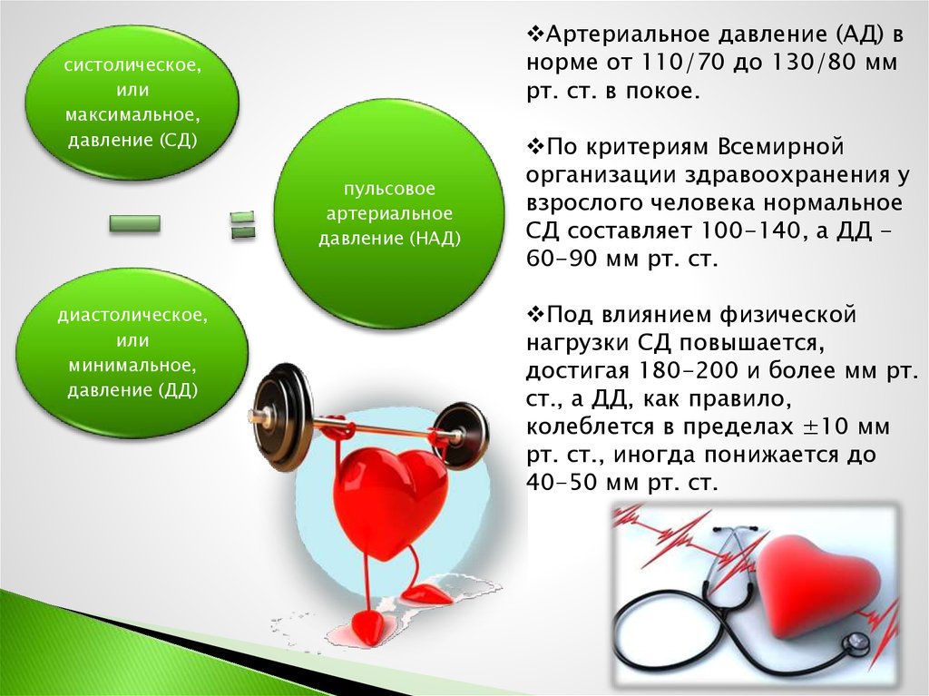 Методика контроля за функциональным состоянием организма проект