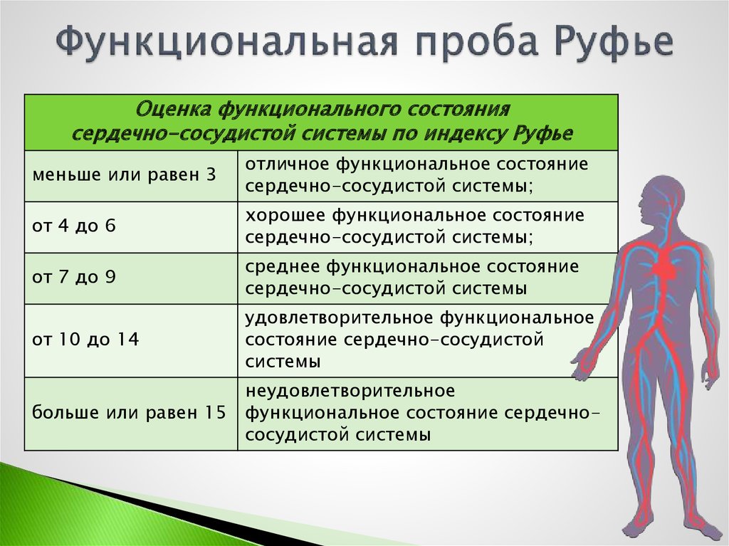 Индекс руфье презентация