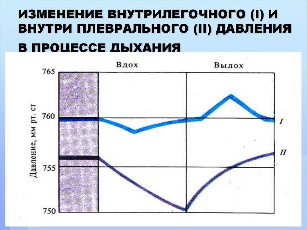 При вдохе диаграмма