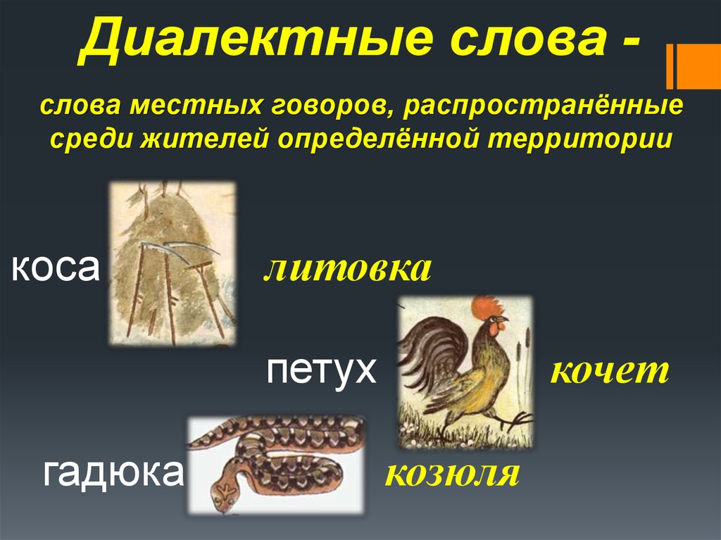 Диалектные слова встречаются в нашей речи. Диалектные слова. Слова диалектизмы. Термины диалектизмы. Профессиональные и диалектные слова.