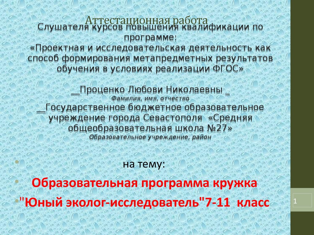 Аттестационная работа. Образовательная программа кружка 