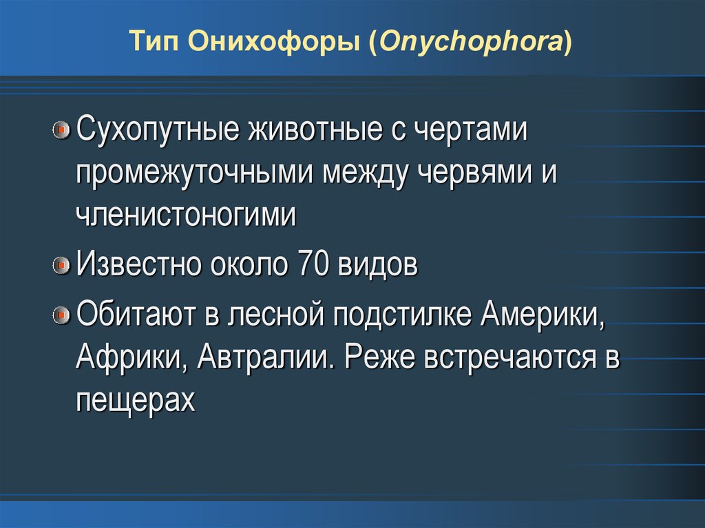Тип Онихофоры (Onychophora)