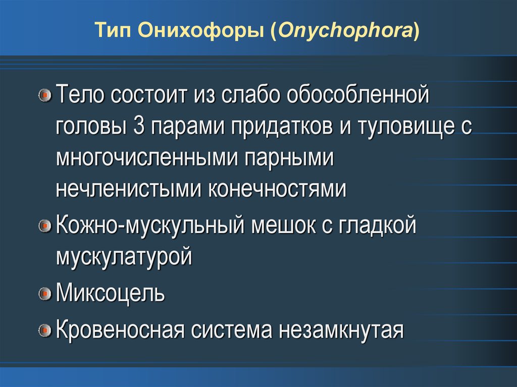 Тип Онихофоры (Onychophora)