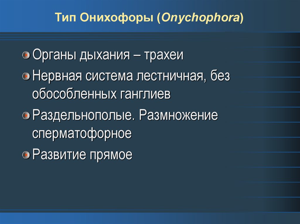 Тип Онихофоры (Onychophora)