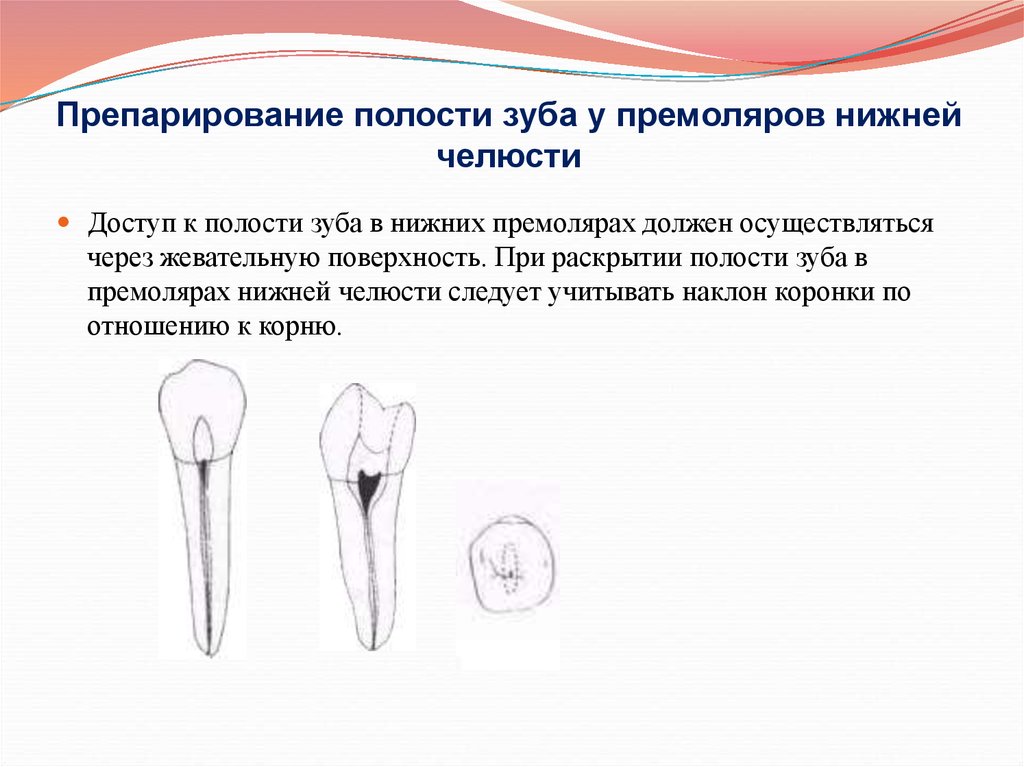 Nlc 7 рецепты у зуба