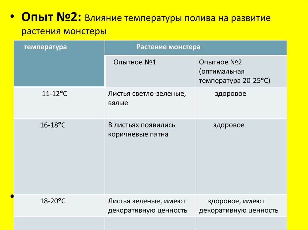 Влияние внешних факторов на рост и развитие растений проект