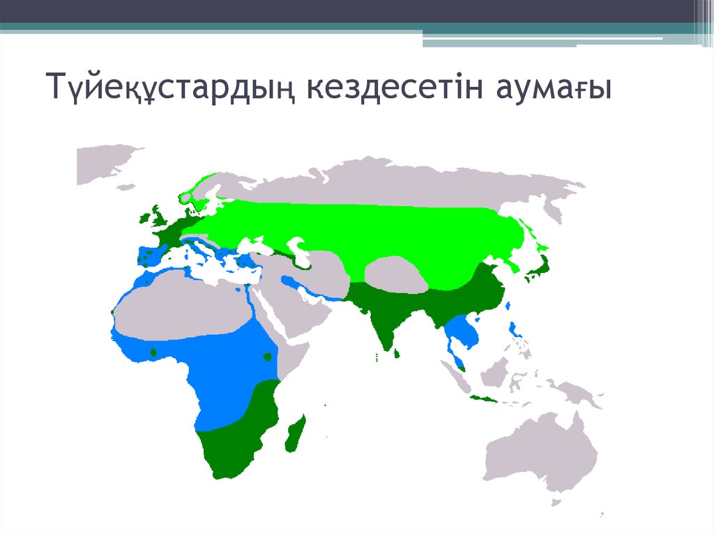 Ареал обитания аистов. Цапля ареал обитания. Ареал обитания серой Цапли. Ареал обитания большой белой Цапли.