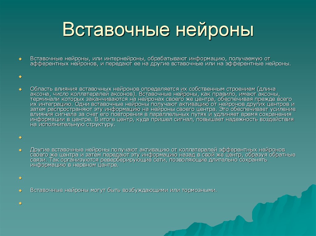 Интернейроны. Вставочный Нейрон функции. Эфферентным является Нейрон передающий информацию. Вставочный Нейрон или. Роль вставочных нейронов.