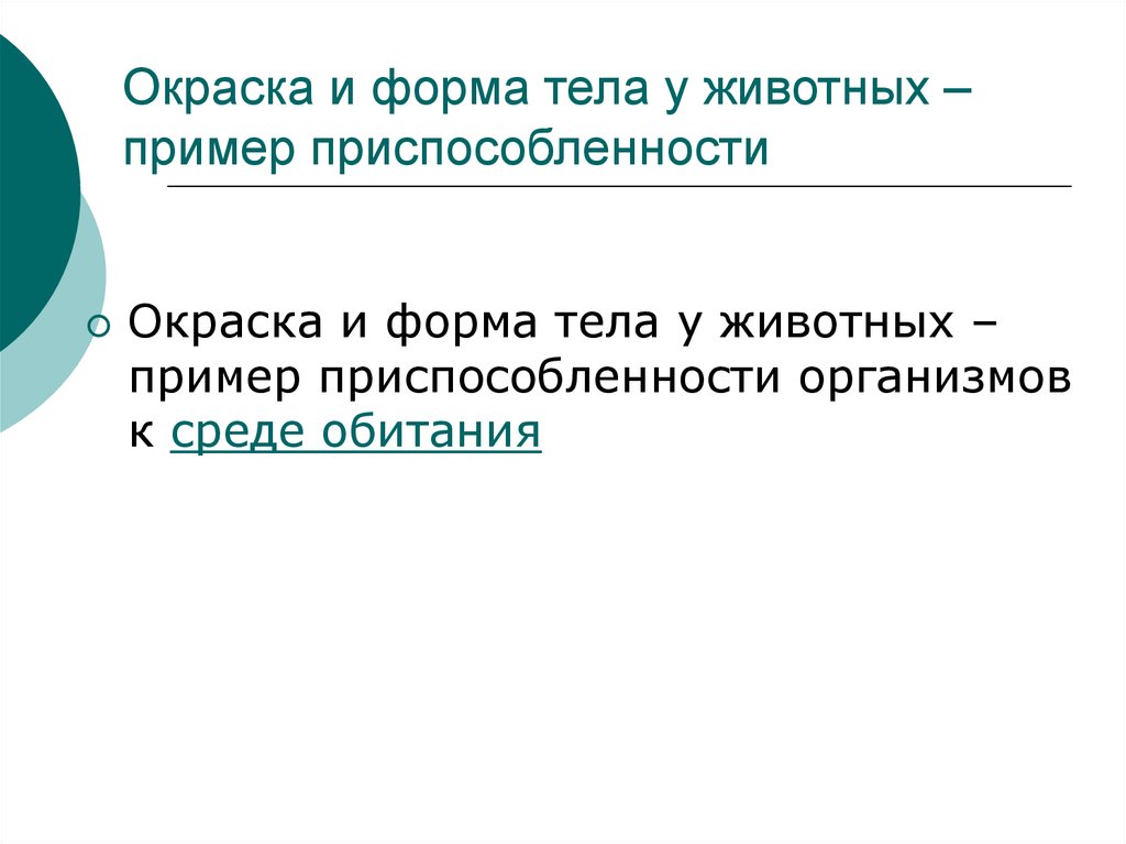 Многообразие видов как результат эволюции презентация